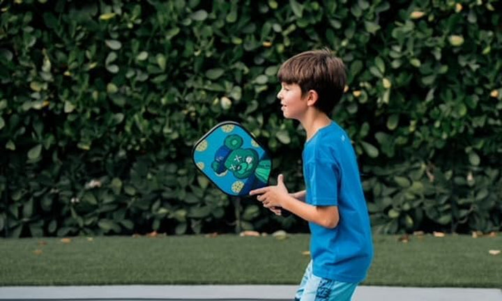 Alpha Paddle Pickleball Paddle, Fiberglass Surface Pickleball, Pickle Ball Paddle for Boys and Girls of All Ages